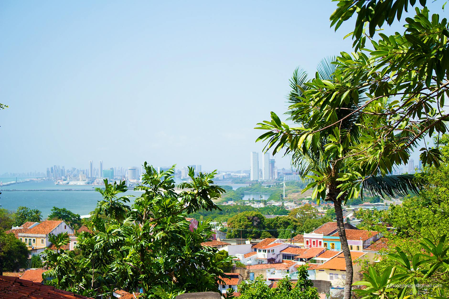 photography of houses surrounded by trees near body of water
